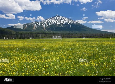 Mount Bachelor In The Cascade Mountains Of Central Oregon Stock Photo