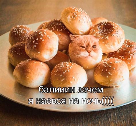 russian memes united on twitter daaamn why did i eat at night 83mtjp05wu