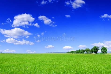 Spring Landscape View Of Green Field And The Blue Sky Stock Photo
