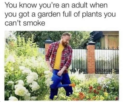 26 Extra Saucy Memes That Blur The Nsfw Line Gardening Memes Plant