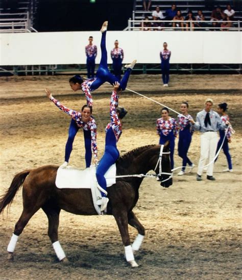 17 Best Images About Equestrian Vaulting On Pinterest Image Search