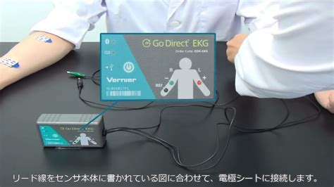 E31 8200 28 Go Direct Ekg心電図センサ Gdx Ekg Youtube