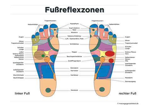 Anamnesebogen für fitnessstudio selber erstellen : Fußreflexzonenmassage ⇒ Ratgeber & Infografik!