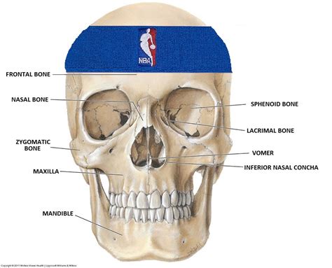 Facial Fractures In The Nba Breaking Down The Injuries Of Jr Smith And