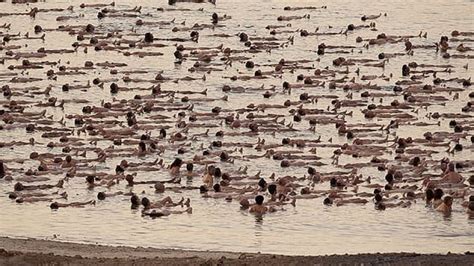 Spencer Tunick Holds Mass Nude Shoot In Dead Sea Cbc News