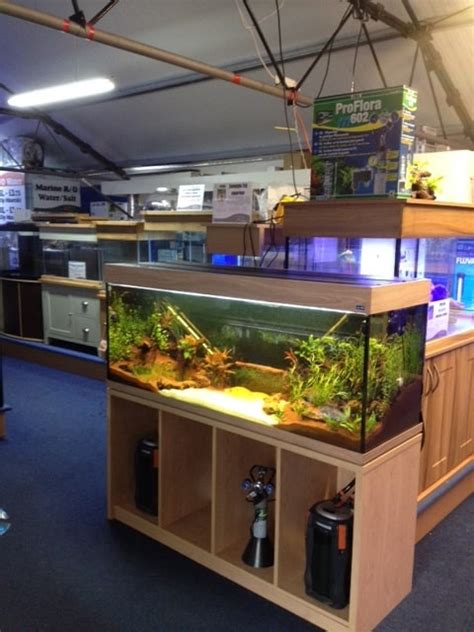 Hastings Maidenhead Aquatics Fish Store Review Tropical Fish Site