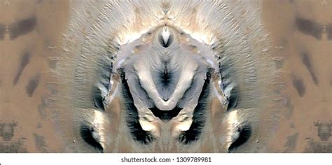 Zdjęcie Stockowe „sex Pussy Vulva Clitoris Vagina Orgasm” 1309789981 Shutterstock