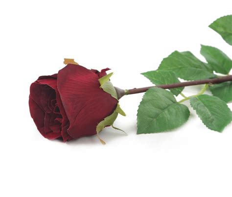Artificial 52cm Single Stem Closed Bud Burgundy Rose Artplants