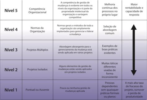 5 Níveis De Maturidade Em Gestão De Mudanças Blog Prosci No Brasil