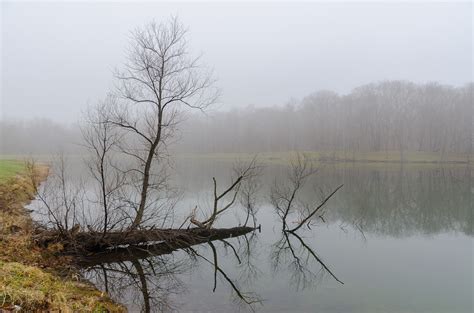 Wallpaper Park Autumn Trees Winter Mist Lake Reflection Water