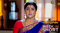 Watch Padamati Sandhyaragam TV Serial Webisode of 20th August 2023 ...