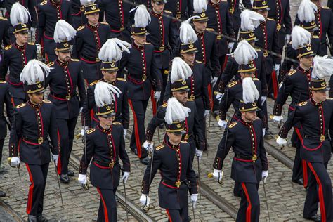 Military parades, city meals, dances, parties and many amazing. Fête nationale belge 2014 - Bruxelles | Feestdag