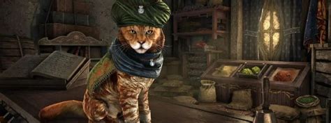 Elder Scrolls Online Celebrates The Cats Of Elsweyr With Fan Templates