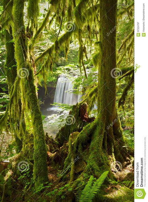 Waterfall In Lush Green Mossy Forest Stock Image Image Of Scenic