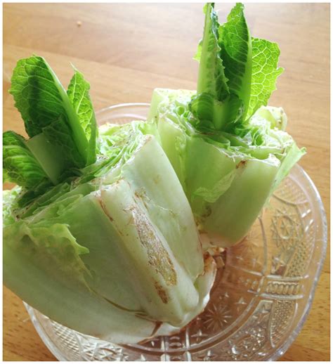 Regrow Lettuce Activity For Kids Little Bins For Little