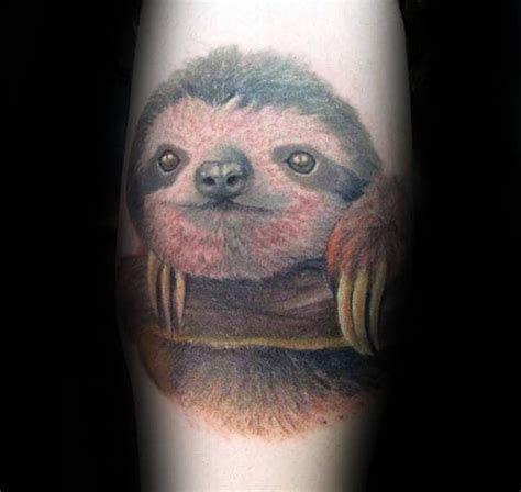 70 Sloth Tattoo Designs For Men 2023 Inspiration Guide