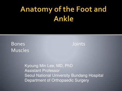 Ppt Anatomy Of The Foot And Ankle Powerpoint