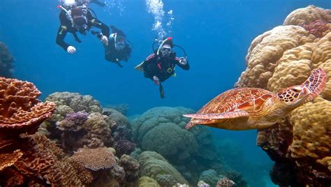 Scuba Diving Great Barrier Reef Dive Charters Instructors
