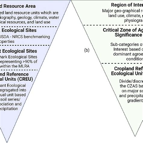 A Flow Chart Showing The Development Of Reference Ecological Units A