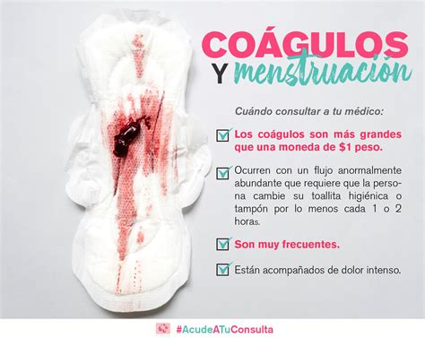 Top 110 Imagenes De Coágulos De Sangre En La Menstruación Smartindustry Mx