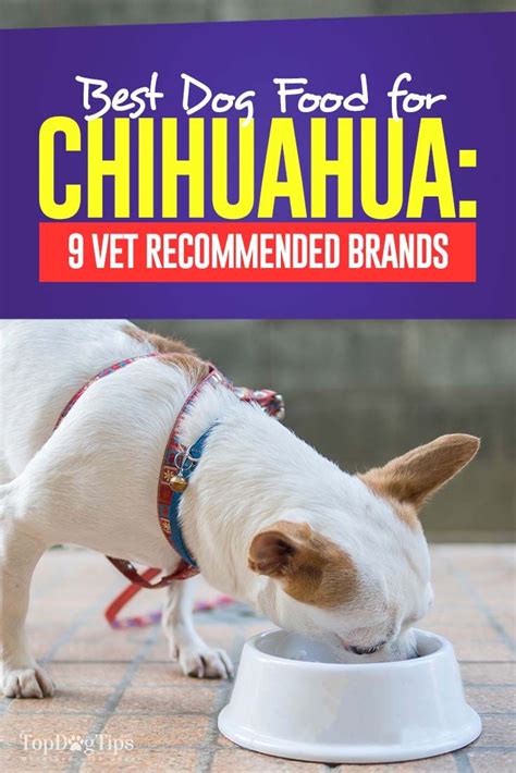 The primary source of protein is real chicken, which is very nutritious and dogs love it. 9 Vet Recommended Foods for Chihuahuas | Best dry dog food ...
