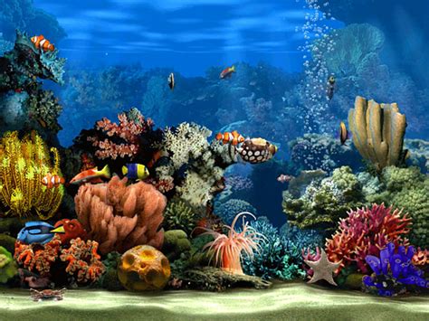 Living Marine Aquarium 2 Screensaver - Tải về
