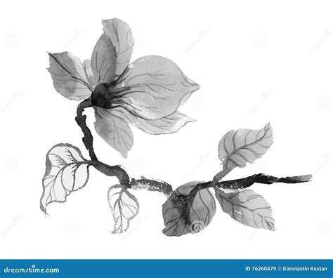 Beautiful Hand Drawn Monochrome Flower Illustration Stock Vector