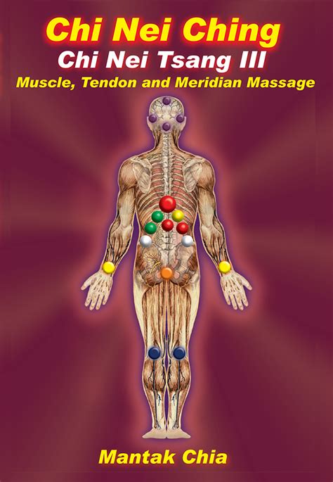 Chi Nei Tsang Iii Internal Organ Chi Massage Bl42 Universal Healing Tao System E Products