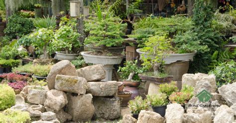 7 Amazing Small Corner Rock Garden Ideas