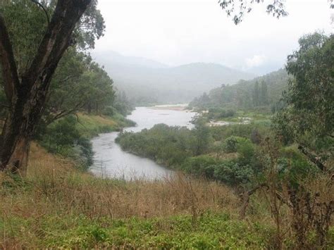 Snowy River Photo