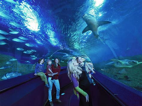 10 Largest Aquariums In The World Pepnewz