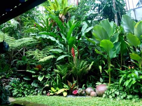 35 Amazing Tropical Landscaping Ideas To Make Beautiful