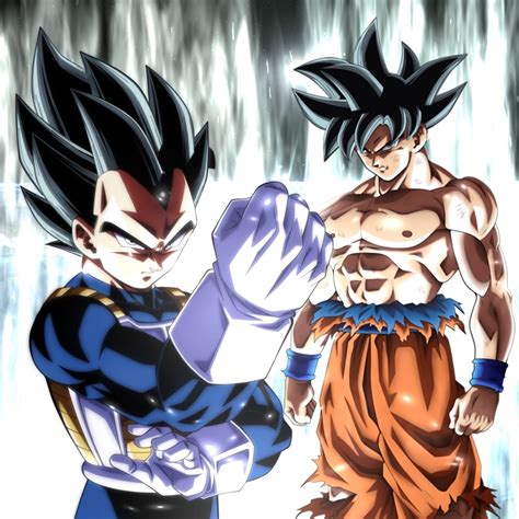 Vegeta And Goku Ultra Instinct Anime Live Wallpaper