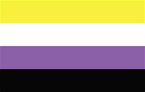 Non Binary Flags Pride Products By The Flag Shop