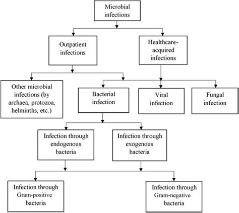 2 Types Of Microbial Infections Download Scientific Diagram