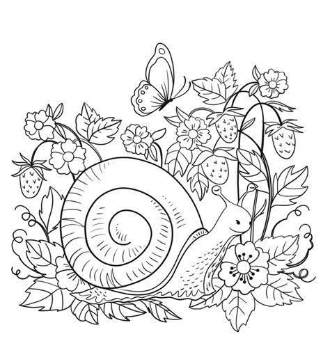 Snail In The Nature Coloring Page Free Printable