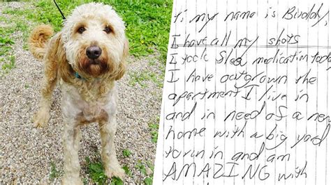 Heartbreaking Note Left With ‘loved And Cherished Abandoned Dog