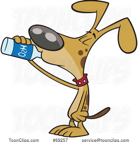 Cartoon Thirsty Dog Drinking Water 69257 By Ron Leishman