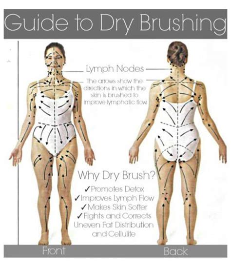 Manual Lymph Drainage Mld The Lymph Clinic