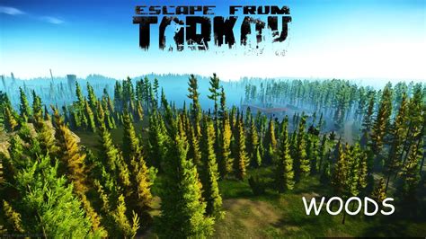 Escape From Tarkov Poradnik Mapa Woods Youtube