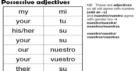 Actividades Ingles Possessive Adjectives Adjetivos Posesivos