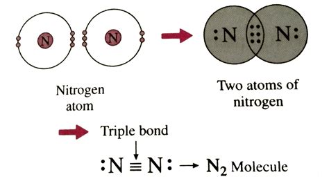 Describe The Formation Of Nitrogen Molecule