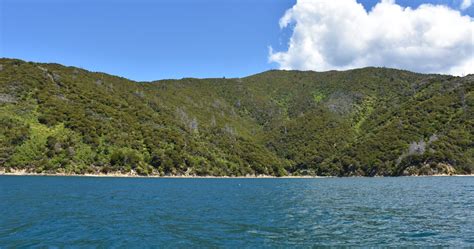 Anwar sah tanding kerusi port dickson. Queen Charlotte Sound | Cruise Guide