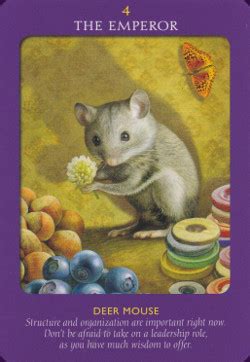 The cards have rather attractively illustrated animal scenes. Animal Tarot Cards Reviews & Images | Aeclectic Tarot