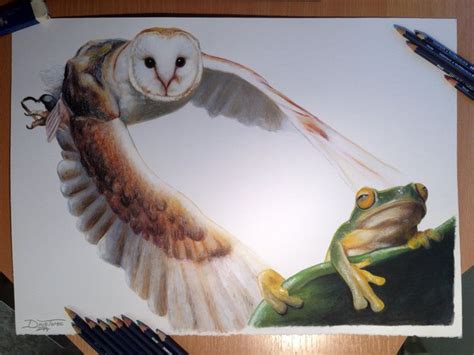 Owl And Frog Color Pencil Drawing By Atomiccircus On Deviantart With