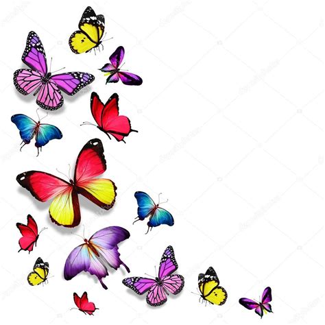 Muchos color diferentes mariposas volando fotografía de stock sun