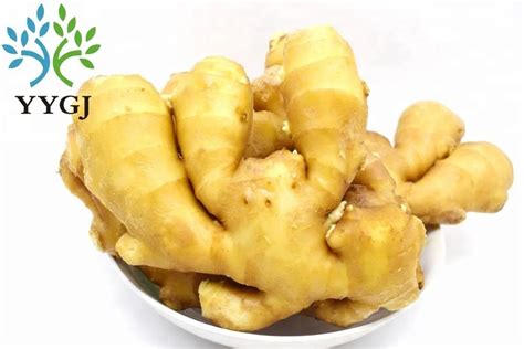 new crop fresh ginger 100g 150g 200g 250g 300g china ginger supplier buy china ginger fresh
