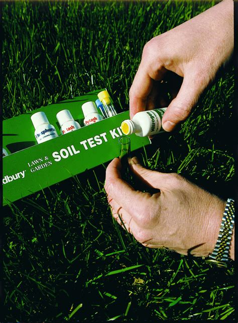 4 Ways To Make Your Soil More Alkaline Raise Soil Ph Greenupside
