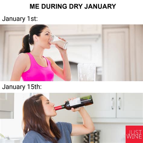 50 Funny January Memes That Perfectly Sum Up The First Month Of Year