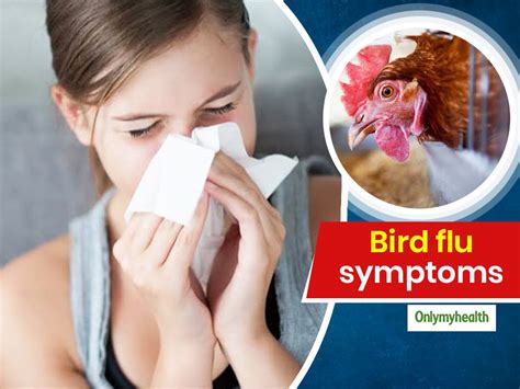 Bird flu symptoms in people can vary. Bird Flu Symptoms: Know The 9 Symptoms of Bird Flu For ...